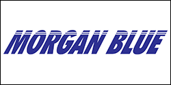 logo Morgan Blue